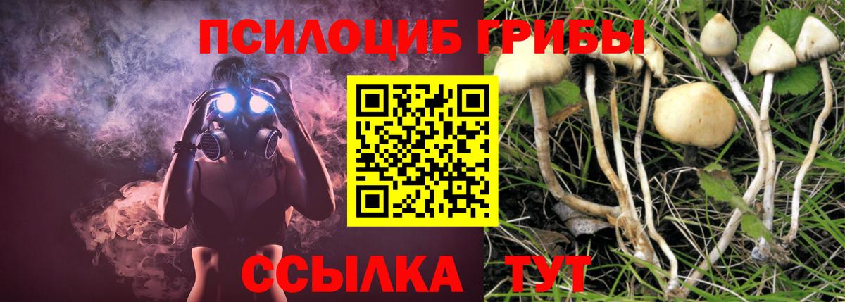 Галлюциногенные грибы мухоморы  Вход с VPN  Златоуст  Галлюциногенные грибы GOLDEN TEACHER 